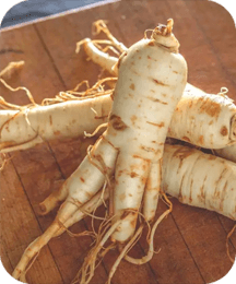 Chinese Ginseng