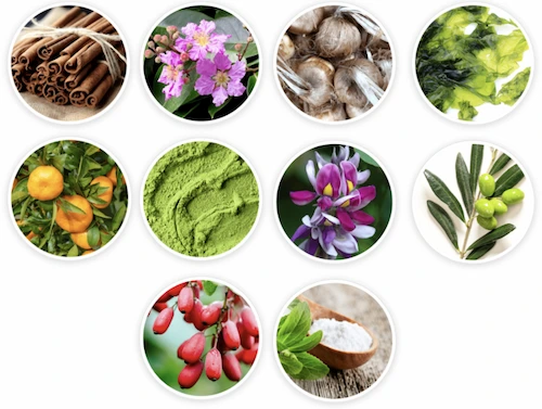 Lean Bliss Ingredients